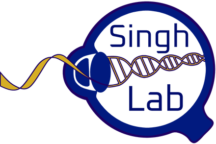 the Singh Lab logo, depicting a stylized cross-section of an eye. A wave of light is entering through the front and turning into a strand of DNA inside.